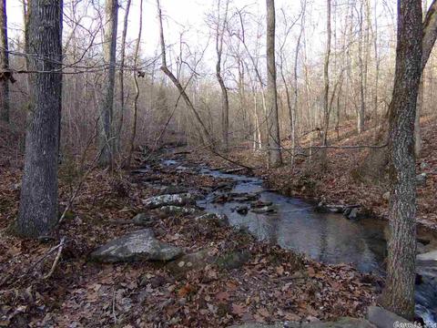 409 Rex Rd, Clinton, AR 72031 photo 25