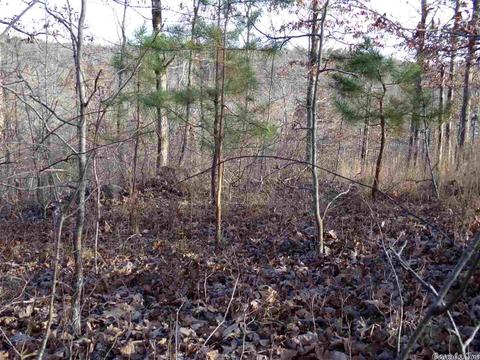 409 Rex Rd, Clinton, AR 72031 photo 4