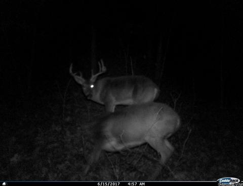 409 Rex Rd, Clinton, AR 72031 photo 14