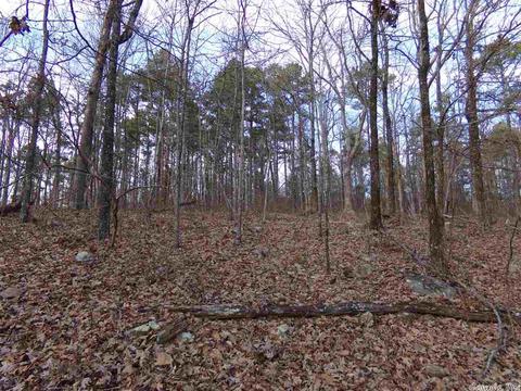 409 Rex Rd, Clinton, AR 72031 photo 35