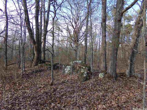 409 Rex Rd, Clinton, AR 72031 photo 31