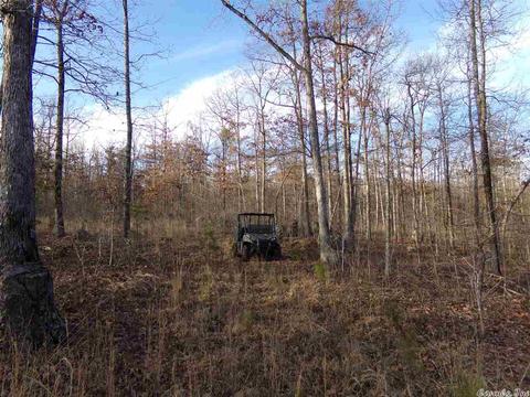 409 Rex Rd, Clinton, AR 72031 photo 8