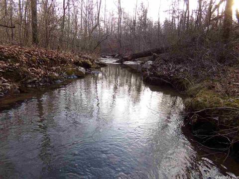 409 Rex Rd, Clinton, AR 72031 photo 23