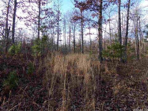 409 Rex Rd, Clinton, AR 72031 photo 21