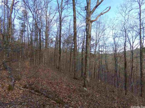 409 Rex Rd, Clinton, AR 72031 photo 33