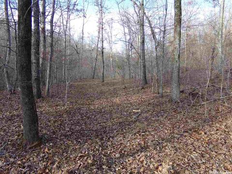 409 Rex Rd, Clinton, AR 72031 photo 12