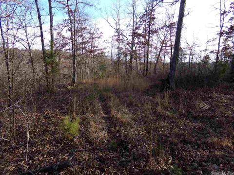 409 Rex Rd, Clinton, AR 72031 photo 18
