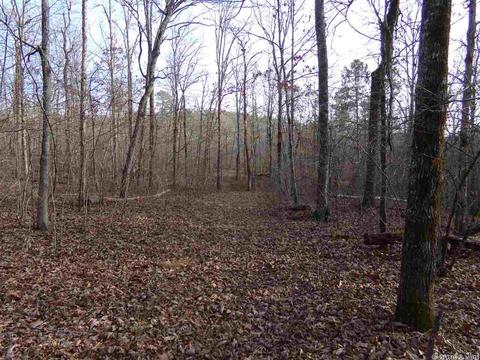 409 Rex Rd, Clinton, AR 72031 photo 13