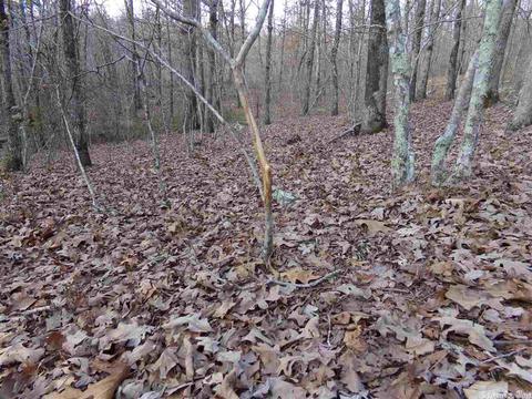 409 Rex Rd, Clinton, AR 72031 photo 38