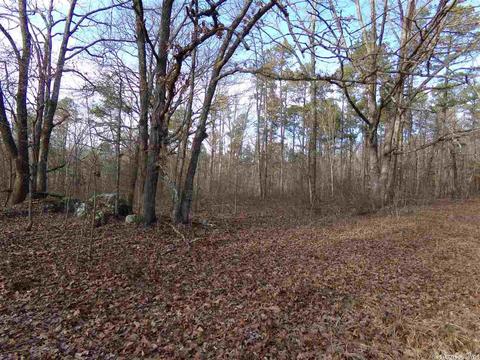 409 Rex Rd, Clinton, AR 72031 photo 30
