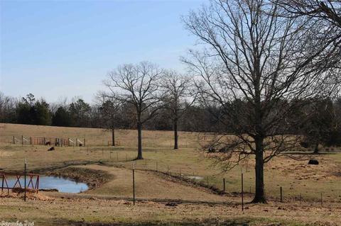 449 Guy Ln, Quitman, AR 72131 photo 18
