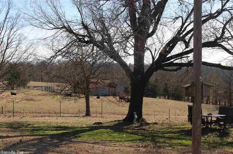 449 Guy Ln, Quitman, AR 72131 photo 35