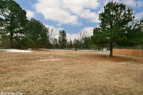 387 Jeffery Ln, Cabot, AR 72023 photo 40