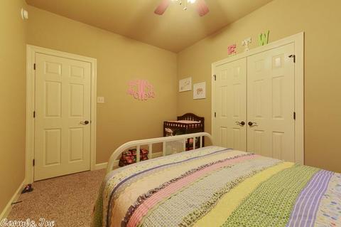 387 Jeffery Ln, Cabot, AR 72023 photo 37