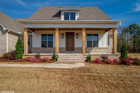 4080 Vineyard Way, Alexander, AR 72002 photo 3