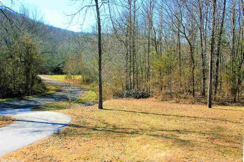 308 Dogwood Valley Dr, Mountain View, AR 72560 photo 17