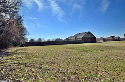 133 Cinel Loop, Austin, AR 72007 photo 39