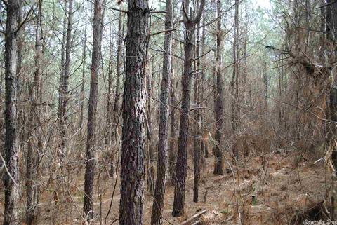 175 Devils Fork Ranch Rd, Drasco, AR 72530 photo 28