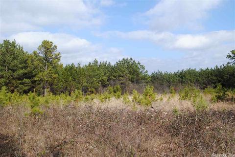 175 Devils Fork Ranch Rd, Drasco, AR 72530 photo 5