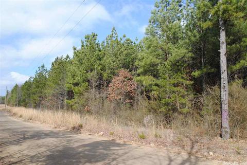 175 Devils Fork Ranch Rd, Drasco, AR 72530 photo 9