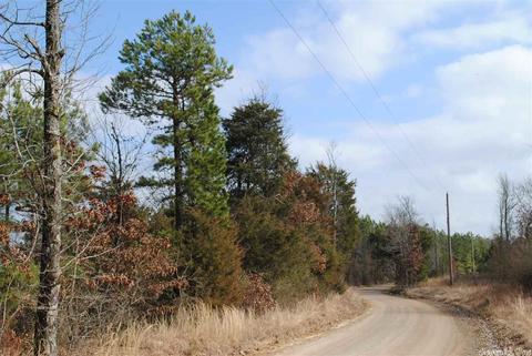175 Devils Fork Ranch Rd, Drasco, AR 72530 photo 8