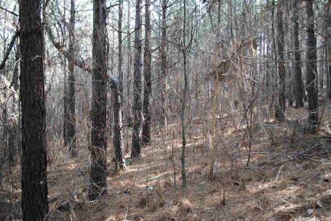 175 Devils Fork Ranch Rd, Drasco, AR 72530 photo 24