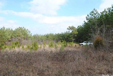 175 Devils Fork Ranch Rd, Drasco, AR 72530 photo 6