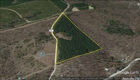 175 Devils Fork Ranch Rd, Drasco, AR 72530 photo 29