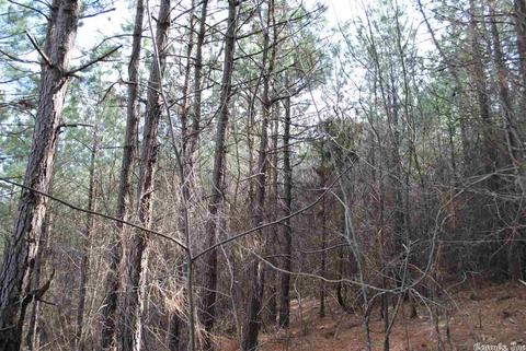175 Devils Fork Ranch Rd, Drasco, AR 72530 photo 26