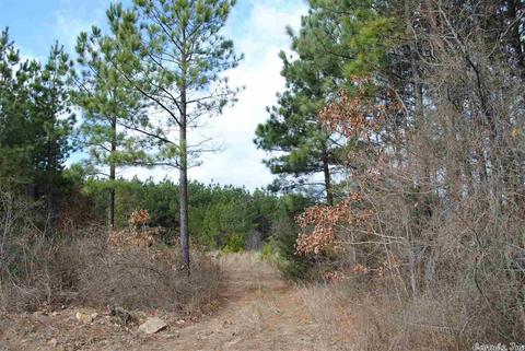 175 Devils Fork Ranch Rd, Drasco, AR 72530 photo 4