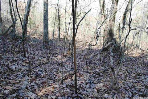 175 Devils Fork Ranch Rd, Drasco, AR 72530 photo 25