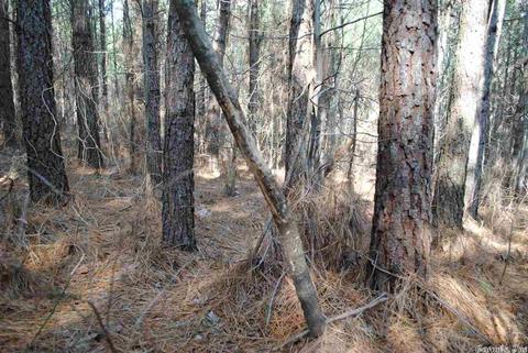 175 Devils Fork Ranch Rd, Drasco, AR 72530 photo 20
