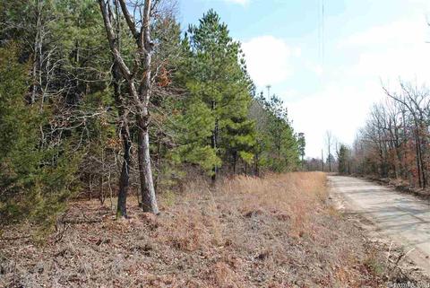 175 Devils Fork Ranch Rd, Drasco, AR 72530 photo 11