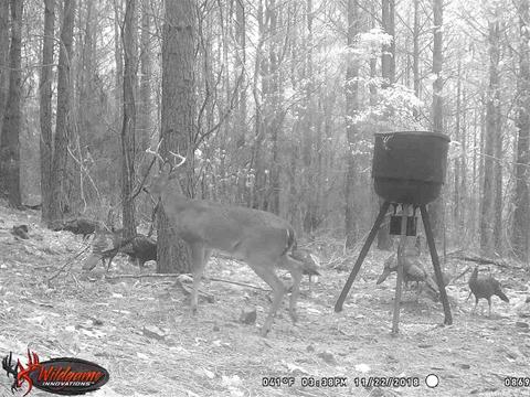 175 Devils Fork Ranch Rd, Drasco, AR 72530 photo 18