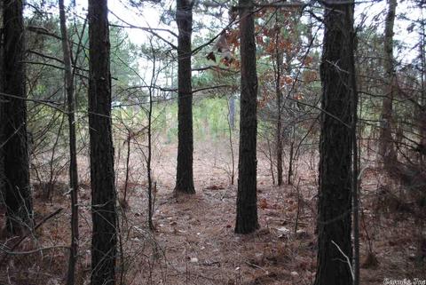 175 Devils Fork Ranch Rd, Drasco, AR 72530 photo 15