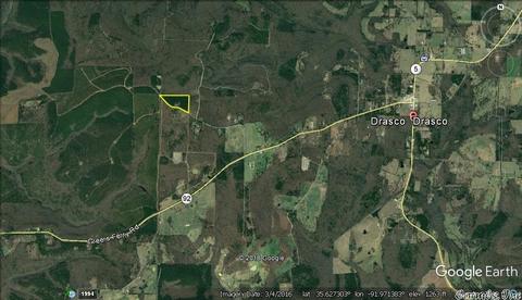 175 Devils Fork Ranch Rd, Drasco, AR 72530 photo 2