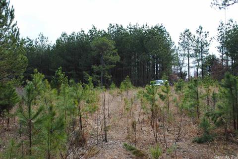 175 Devils Fork Ranch Rd, Drasco, AR 72530 photo 13