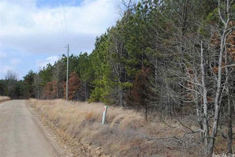 175 Devils Fork Ranch Rd, Drasco, AR 72530 photo 3
