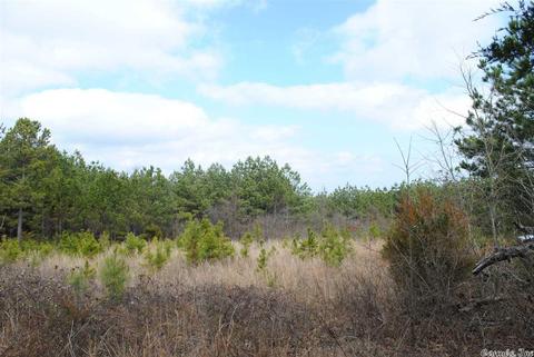 175 Devils Fork Ranch Rd, Drasco, AR 72530 photo 7