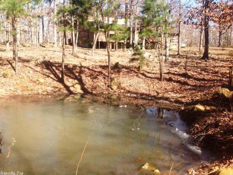 1239 Sutterfield Rd, Fox, AR 72051 photo 21