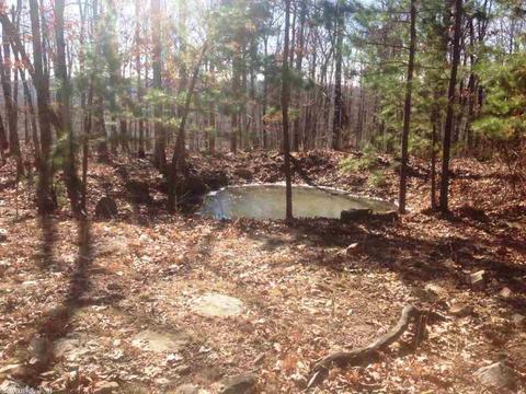 1239 Sutterfield Rd, Fox, AR 72051 photo 22