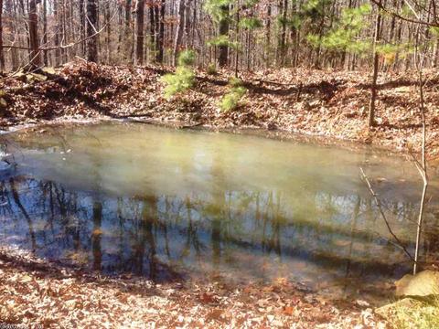 1239 Sutterfield Rd, Fox, AR 72051 photo 23