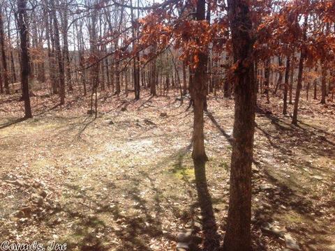 1239 Sutterfield Rd, Fox, AR 72051 photo 24