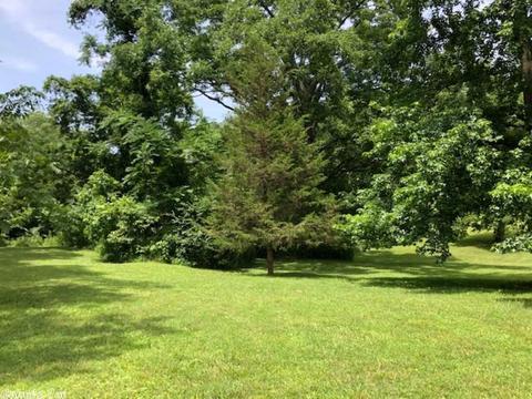 2993 Round Bottom Rd, Mountain View, AR 72560 photo 34
