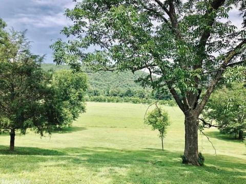 2993 Round Bottom Rd, Mountain View, AR 72560 photo 36