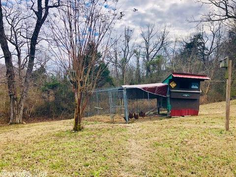 2993 Round Bottom Rd, Mountain View, AR 72560 photo 30