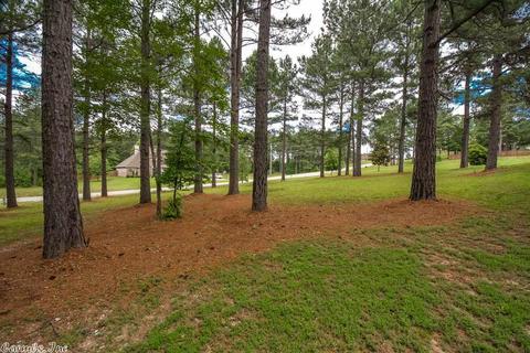 8305 Flagstone Cv, Alexander, AR 72002 photo 36