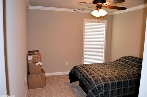266 Reuben Dr, Alexander, AR 72002 photo 21