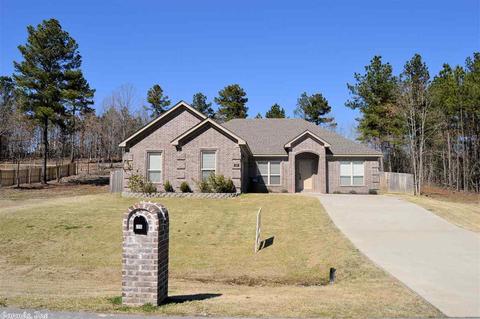 266 Reuben Dr, Alexander, AR 72002 photo 1