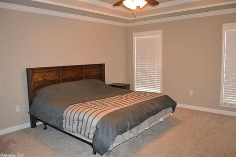 266 Reuben Dr, Alexander, AR 72002 photo 14